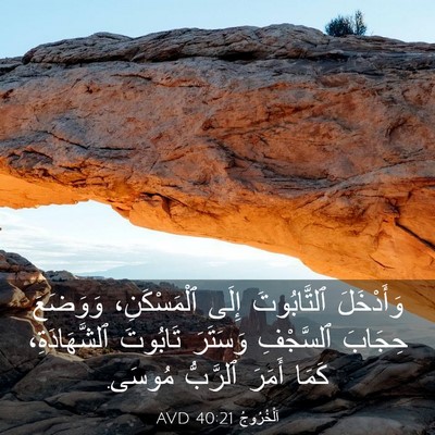 Picture 03 - اَلْخُرُوجُ 40:21 AVD - وَأَدْخَلَ ٱلتَّابُوتَ - Bible Verse Picture