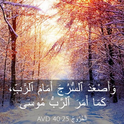 Picture 03 - اَلْخُرُوجُ 40:25 AVD - وَأَصْعَدَ ٱلسُّرُجَ - Bible Verse Picture