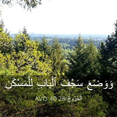 Picture 03 - اَلْخُرُوجُ 40:28 AVD - وَوَضَعَ سَجْفَ ٱلْبَابِ - Bible Verse Picture