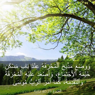 Picture 03 - اَلْخُرُوجُ 40:29 AVD - وَوَضَعَ مَذْبَحَ - Bible Verse Picture