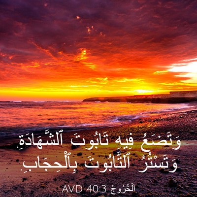 Picture 03 - اَلْخُرُوجُ 40:3 AVD - وَتَضَعُ فِيهِ تَابُوتَ - Bible Verse Picture