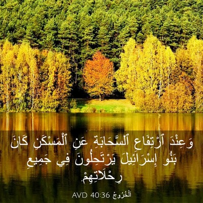 Picture 03 - اَلْخُرُوجُ 40:36 AVD - وَعِنْدَ ٱرْتِفَاعِ - Bible Verse Picture