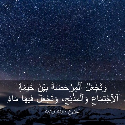 Picture 03 - اَلْخُرُوجُ 40:7 AVD - وَتَجْعَلُ ٱلْمِرْحَضَةَ - Bible Verse Picture