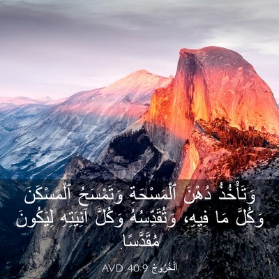 Picture 03 - اَلْخُرُوجُ 40:9 AVD - وَتَأْخُذُ دُهْنَ - Bible Verse Picture