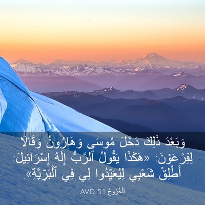 Picture 03 - اَلْخُرُوجُ 5:1 AVD - وَبَعْدَ ذَلِكَ دَخَلَ - Bible Verse Picture