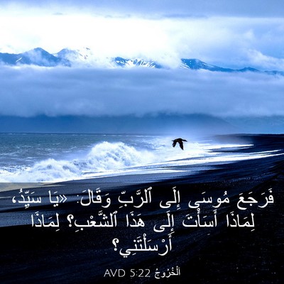 Picture 03 - اَلْخُرُوجُ 5:22 AVD - فَرَجَعَ مُوسَى إِلَى - Bible Verse Picture