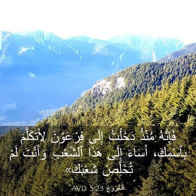Picture 03 - اَلْخُرُوجُ 5:23 AVD - فَإِنَّهُ مُنْذُ دَخَلْتُ - Bible Verse Picture