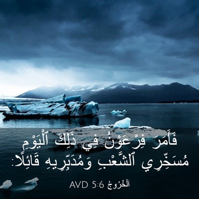 Picture 03 - اَلْخُرُوجُ 5:6 AVD - فَأَمَرَ فِرْعَوْنُ فِي - Bible Verse Picture