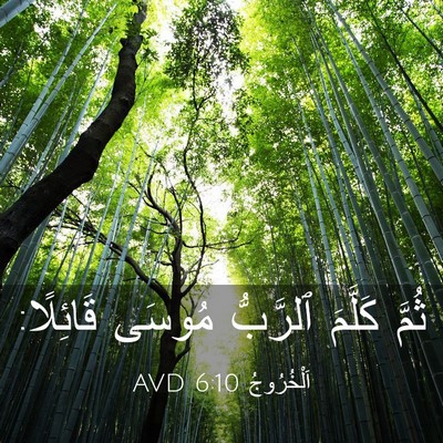 Picture 03 - اَلْخُرُوجُ 6:10 AVD - ثُمَّ كَلَّمَ ٱلرَّبُّ - Bible Verse Picture