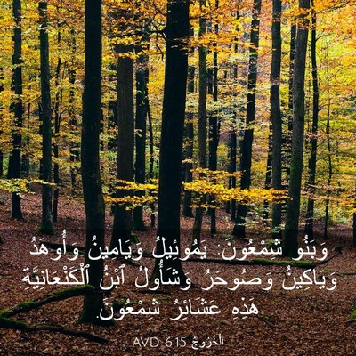 Picture 03 - اَلْخُرُوجُ 6:15 AVD - وَبَنُو شِمْعُونَ: - Bible Verse Picture