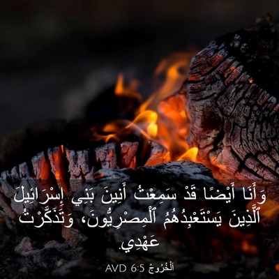 Picture 03 - اَلْخُرُوجُ 6:5 AVD - وَأَنَا أَيْضًا قَدْ - Bible Verse Picture
