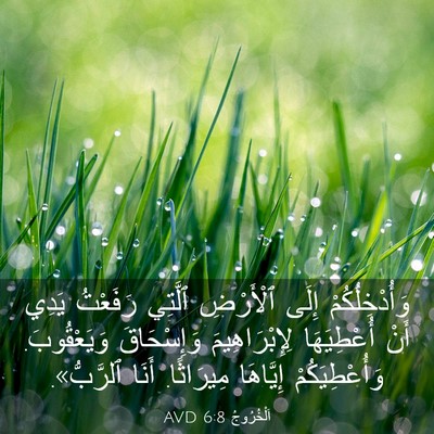 Picture 03 - اَلْخُرُوجُ 6:8 AVD - وَأُدْخِلُكُمْ إِلَى - Bible Verse Picture