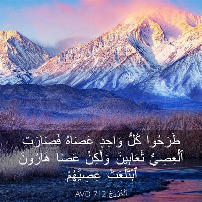 Picture 03 - اَلْخُرُوجُ 7:12 AVD - طَرَحُوا كُلُّ وَاحِدٍ - Bible Verse Picture