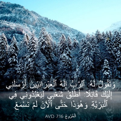 Picture 03 - اَلْخُرُوجُ 7:16 AVD - وَتَقُولُ لَهُ: ٱلرَّبُّ - Bible Verse Picture