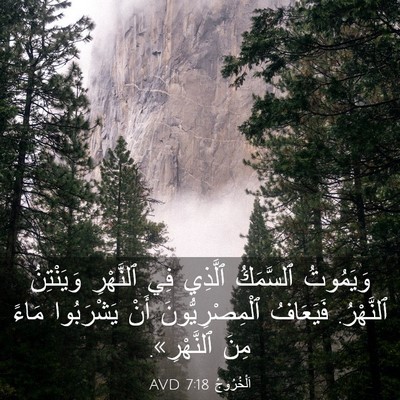 Picture 03 - اَلْخُرُوجُ 7:18 AVD - وَيَمُوتُ ٱلسَّمَكُ - Bible Verse Picture