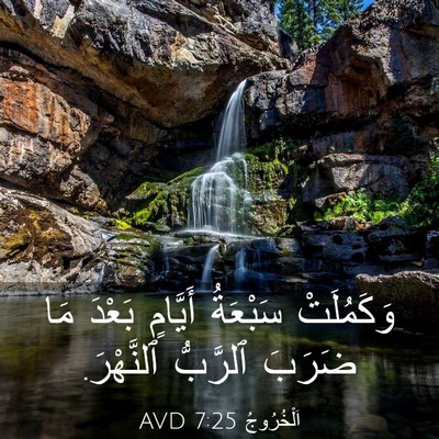 Picture 03 - اَلْخُرُوجُ 7:25 AVD - وَكَمُلَتْ سَبْعَةُ - Bible Verse Picture