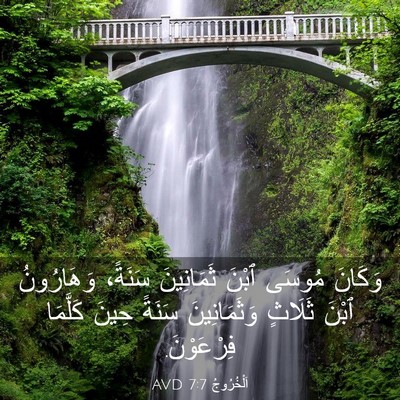 Picture 03 - اَلْخُرُوجُ 7:7 AVD - وَكَانَ مُوسَى ٱبْنَ - Bible Verse Picture