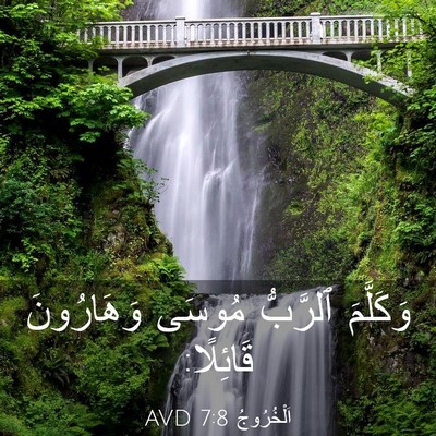 Picture 03 - اَلْخُرُوجُ 7:8 AVD - وَكَلَّمَ ٱلرَّبُّ مُوسَى - Bible Verse Picture