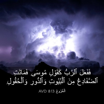 Picture 03 - اَلْخُرُوجُ 8:13 AVD - فَفَعَلَ ٱلرَّبُّ - Bible Verse Picture