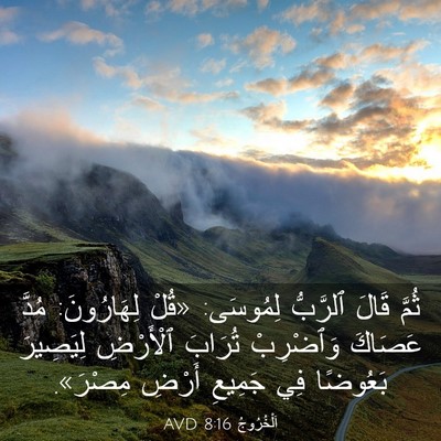Picture 03 - اَلْخُرُوجُ 8:16 AVD - ثُمَّ قَالَ ٱلرَّبُّ - Bible Verse Picture
