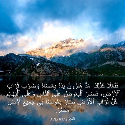 Picture 03 - اَلْخُرُوجُ 8:17 AVD - فَفَعَلَا كَذَلِكَ. مَدَّ - Bible Verse Picture