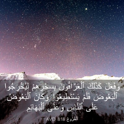 Picture 03 - اَلْخُرُوجُ 8:18 AVD - وَفَعَلَ كَذَلِكَ - Bible Verse Picture