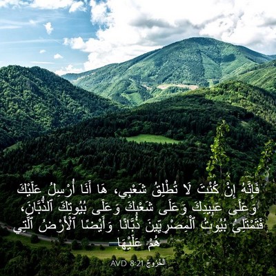 Picture 03 - اَلْخُرُوجُ 8:21 AVD - فَإِنَّهُ إِنْ كُنْتَ لَا - Bible Verse Picture