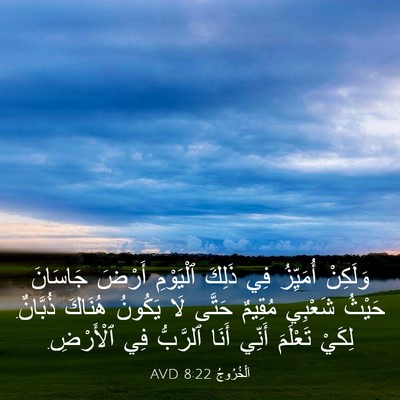 Picture 03 - اَلْخُرُوجُ 8:22 AVD - وَلَكِنْ أُمَيِّزُ فِي - Bible Verse Picture