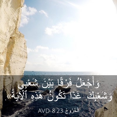 Picture 03 - اَلْخُرُوجُ 8:23 AVD - وَأَجْعَلُ فَرْقًا بَيْنَ - Bible Verse Picture