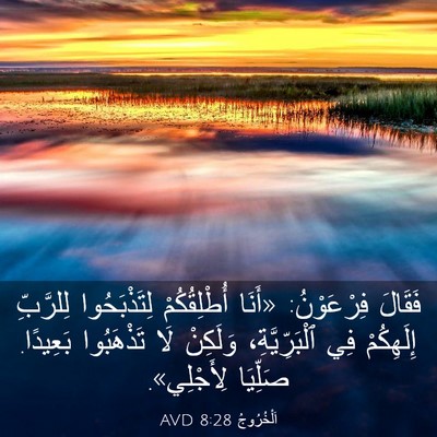 Picture 03 - اَلْخُرُوجُ 8:28 AVD - فَقَالَ فِرْعَوْنُ: «أَنَا - Bible Verse Picture