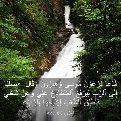 Picture 03 - اَلْخُرُوجُ 8:8 AVD - فَدَعَا فِرْعَوْنُ مُوسَى - Bible Verse Picture