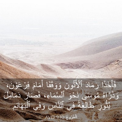 Picture 03 - اَلْخُرُوجُ 9:10 AVD - فَأَخَذَا رَمَادَ - Bible Verse Picture