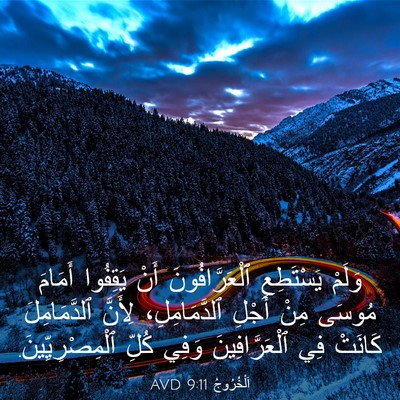 Picture 03 - اَلْخُرُوجُ 9:11 AVD - وَلَمْ يَسْتَطِعِ - Bible Verse Picture