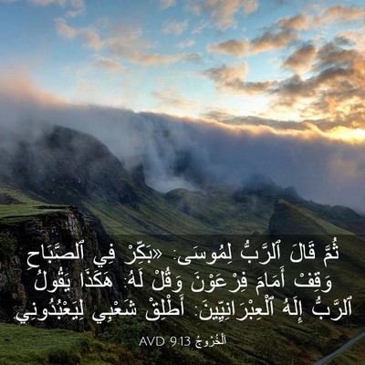 Picture 03 - اَلْخُرُوجُ 9:13 AVD - ثُمَّ قَالَ ٱلرَّبُّ - Bible Verse Picture