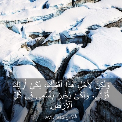 Picture 03 - اَلْخُرُوجُ 9:16 AVD - وَلَكِنْ لِأَجْلِ هَذَا - Bible Verse Picture