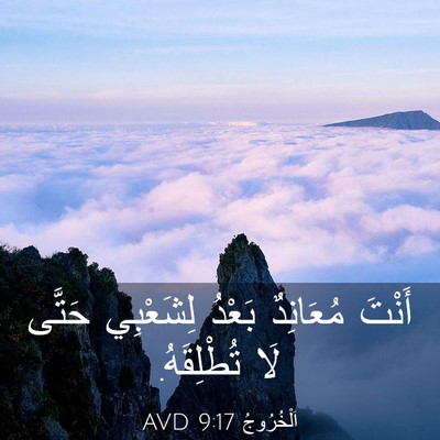 Picture 03 - اَلْخُرُوجُ 9:17 AVD - أَنْتَ مُعَانِدٌ بَعْدُ - Bible Verse Picture