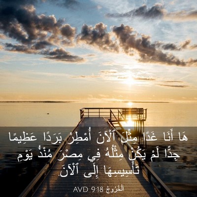 Picture 03 - اَلْخُرُوجُ 9:18 AVD - هَا أَنَا غَدًا مِثْلَ - Bible Verse Picture