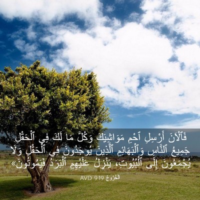 Picture 03 - اَلْخُرُوجُ 9:19 AVD - فَٱلْآنَ أَرْسِلِ ٱحْمِ - Bible Verse Picture