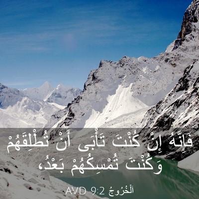 Picture 03 - اَلْخُرُوجُ 9:2 AVD - فَإِنَّهُ إِنْ كُنْتَ - Bible Verse Picture