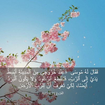 Picture 03 - اَلْخُرُوجُ 9:29 AVD - فَقَالَ لَهُ مُوسَى: - Bible Verse Picture