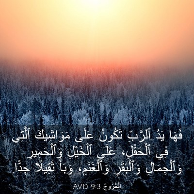 Picture 03 - اَلْخُرُوجُ 9:3 AVD - فَهَا يَدُ ٱلرَّبِّ - Bible Verse Picture