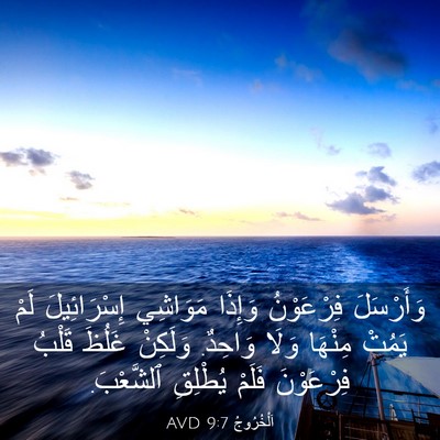 Picture 03 - اَلْخُرُوجُ 9:7 AVD - وَأَرْسَلَ فِرْعَوْنُ - Bible Verse Picture