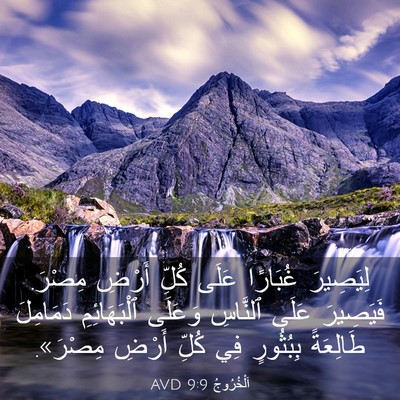 Picture 03 - اَلْخُرُوجُ 9:9 AVD - لِيَصِيرَ غُبَارًا عَلَى - Bible Verse Picture