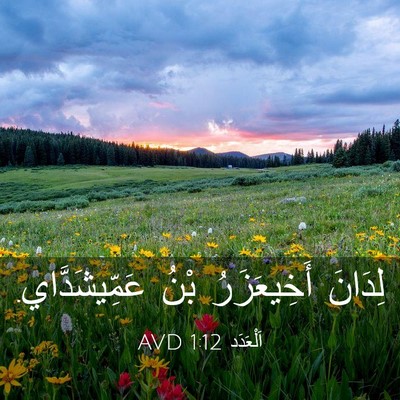 Picture 03 - اَلْعَدَد 1:12 AVD - لِدَانَ أَخِيعَزَرُ بْنُ - Bible Verse Picture