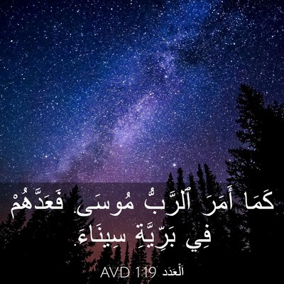 Picture 03 - اَلْعَدَد 1:19 AVD - كَمَا أَمَرَ ٱلرَّبُّ - Bible Verse Picture