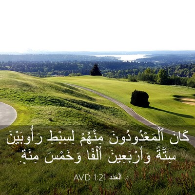 Picture 03 - اَلْعَدَد 1:21 AVD - كَانَ ٱلْمَعْدُودُونَ - Bible Verse Picture
