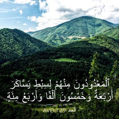 Picture 03 - اَلْعَدَد 1:29 AVD - ٱلْمَعْدُودُونَ مِنْهُمْ - Bible Verse Picture
