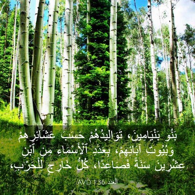 Picture 03 - اَلْعَدَد 1:36 AVD - بَنُو بَنْيَامِينَ، - Bible Verse Picture