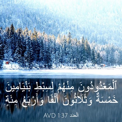 Picture 03 - اَلْعَدَد 1:37 AVD - ٱلْمَعْدُودُونَ مِنْهُمْ - Bible Verse Picture
