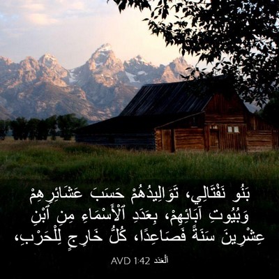Picture 03 - اَلْعَدَد 1:42 AVD - بَنُو نَفْتَالِي، - Bible Verse Picture